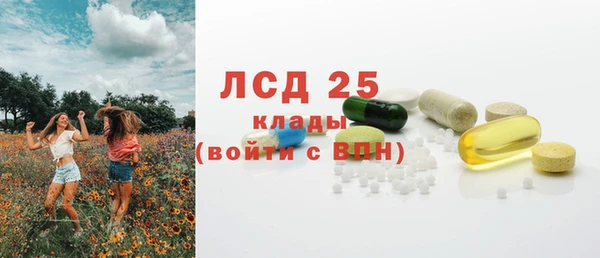 ГАЛЛЮЦИНОГЕННЫЕ ГРИБЫ Няндома
