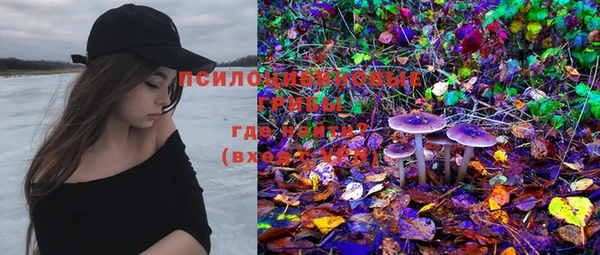 MDMA Premium VHQ Нязепетровск