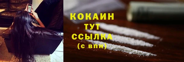 гидра Новокубанск